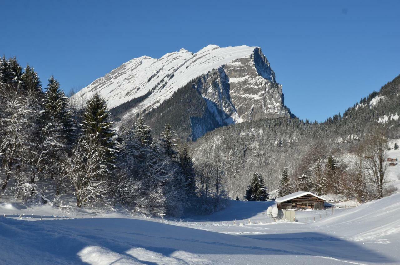 Kanis Appartements Schoppernau Buitenkant foto